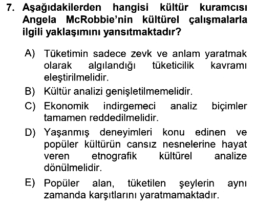 Kültür Sosyolojisi 2016-2017 Dönem Sonu Sınavı - 7. soru