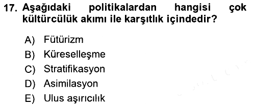 Kültür Sosyolojisi 2016-2017 Dönem Sonu Sınavı - 17. soru