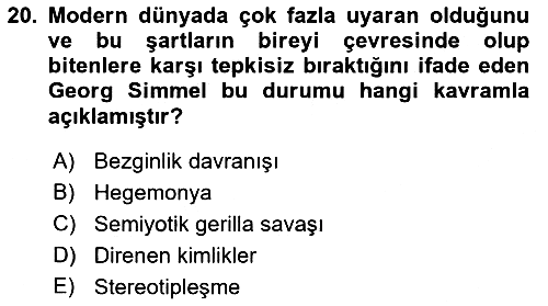 Kültür Sosyolojisi 2016-2017 Dönem Sonu Sınavı - 20. soru
