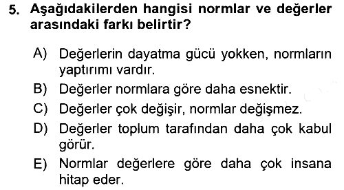 Kültür Sosyolojisi 2017-2018 Dönem Sonu Sınavı - 5. soru