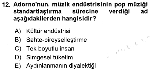 Kültür Sosyolojisi 2019-2020 Dönem Sonu Sınavı - 12. soru