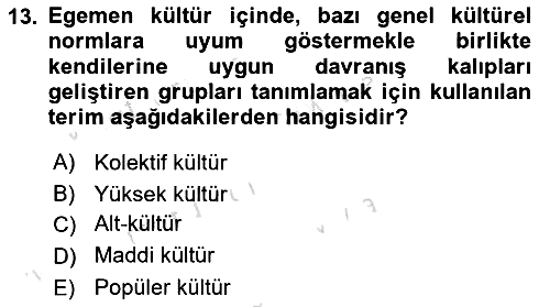 Kültür Sosyolojisi 2019-2020 Dönem Sonu Sınavı - 13. soru