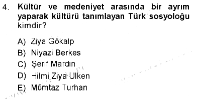 Kültür Sosyolojisi 2012-2013 Tek Ders Sınavı - 4. soru