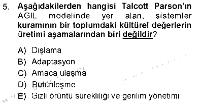 Kültür Sosyolojisi 2012-2013 Tek Ders Sınavı - 5. soru