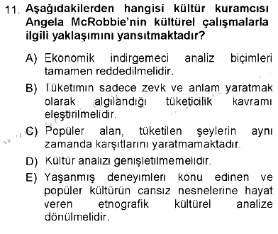 Kültür Sosyolojisi 2012-2013 Tek Ders Sınavı - 11. soru