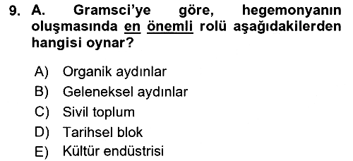 Kültür Sosyolojisi 2018-2019 Yaz Okulu Sınavı - 9. soru