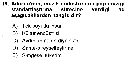 Kültür Sosyolojisi 2018-2019 Yaz Okulu Sınavı - 15. soru
