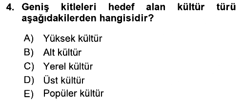 Kültür Sosyolojisi 2021-2022 Yaz Okulu Sınavı - 4. soru