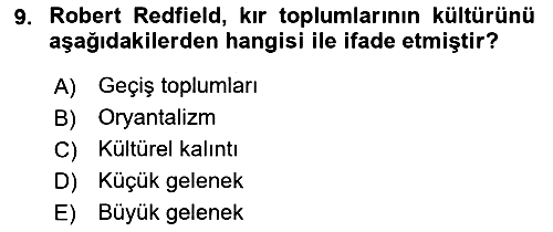 Kültür Sosyolojisi 2022-2023 Yaz Okulu Sınavı - 9. soru