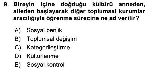 Kültür Sosyolojisi 2023-2024 Yaz Okulu Sınavı - 9. soru