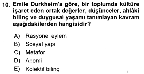 Kültür Sosyolojisi 2023-2024 Yaz Okulu Sınavı - 10. soru