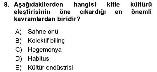 Kültür Sosyolojisi 2024-2025 Yaz Okulu Sınavı - 8. soru