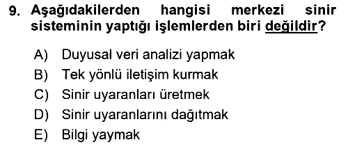 Medya Sosyolojisi 2018-2019 Yaz Okulu Sınavı - 9. soru