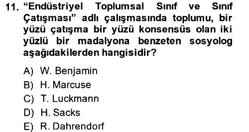 Modern Sosyoloji 2014-2015 Ara Sınav - 11. soru