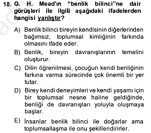 Modern Sosyoloji 2014-2015 Ara Sınav - 18. soru