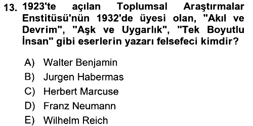 Modern Sosyoloji 2015-2016 Dönem Sonu Sınavı - 13. soru