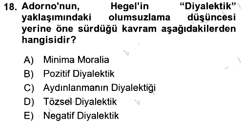 Modern Sosyoloji 2016-2017 Dönem Sonu Sınavı - 18. soru