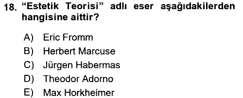 Modern Sosyoloji 2017-2018 Dönem Sonu Sınavı - 18. soru
