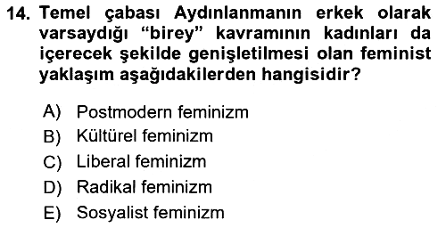 Modern Sosyoloji 2023-2024 Dönem Sonu Sınavı - 14. soru