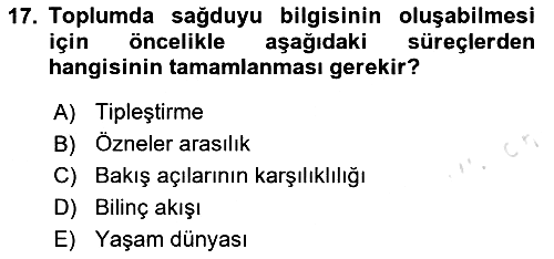 Modern Sosyoloji 2024-2025 Yaz Okulu Sınavı - 17. soru