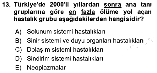 Nüfus Ve Toplum 2025-2026 Yaz Okulu Sınavı - 13. soru