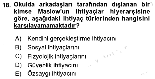 Psikoloji 2018-2019 3 Ders Sınavı - 18. soru