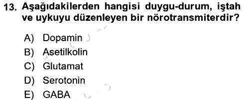 Psikoloji 2017-2018 Ara Sınav - 13. soru