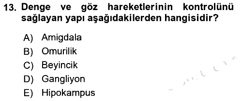 Psikoloji 2021-2022 Ara Sınav - 13. soru