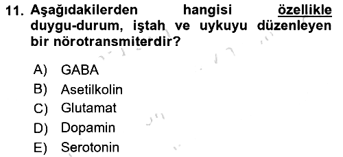 Psikoloji 2022-2023 Ara Sınav - 11. soru