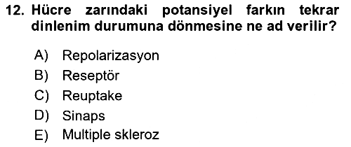 Psikoloji 2022-2023 Ara Sınav - 12. soru