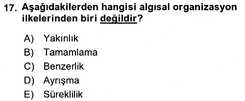 Psikoloji 2022-2023 Ara Sınav - 17. soru