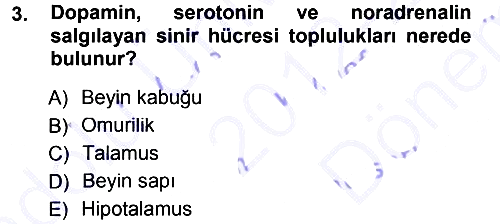 Psikoloji 2012-2013 Dönem Sonu Sınavı - 3. soru