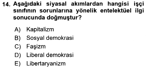 Siyaset Bilimi 2016-2017 Ara Sınav - 14. soru