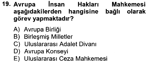 Siyaset Bilimi 2013-2014 Tek Ders Sınavı - 19. soru