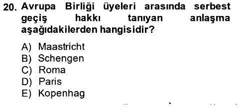 Siyaset Bilimi 2013-2014 Tek Ders Sınavı - 20. soru