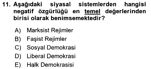 Siyaset Bilimi 2025-2026 Ara Sınav - 11. soru