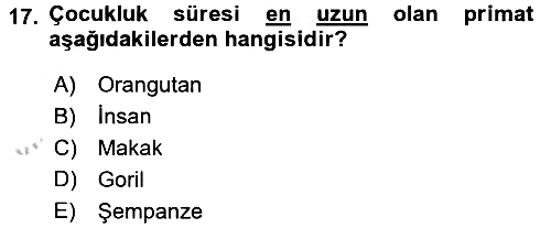 Sosyal Antropoloji 2016-2017 3 Ders Sınavı - 17. soru