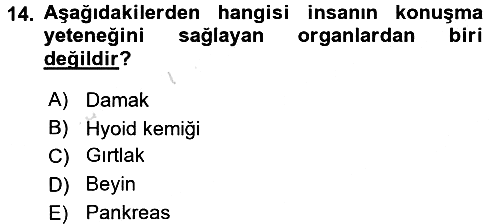 Sosyal Antropoloji 2018-2019 3 Ders Sınavı - 14. soru