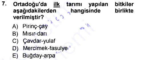 Sosyal Antropoloji 2012-2013 Dönem Sonu Sınavı - 7. soru