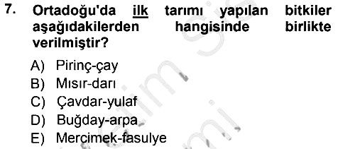 Sosyal Antropoloji 2014-2015 Dönem Sonu Sınavı - 7. soru