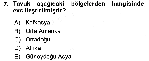 Sosyal Antropoloji 2016-2017 Dönem Sonu Sınavı - 7. soru