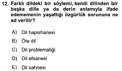 Sosyal Antropoloji 2023-2024 Yaz Okulu Sınavı - 12. soru