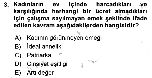 Sosyal Bilimlerde Temel Kavramlar 2018-2019 Yaz Okulu Sınavı - 3. soru