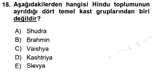 Sosyal Bilimlerde Temel Kavramlar 2022-2023 Yaz Okulu Sınavı - 18. soru