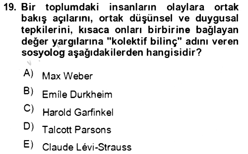 Sosyal Bilimlerde Temel Kavramlar 2023-2024 Yaz Okulu Sınavı - 19. soru