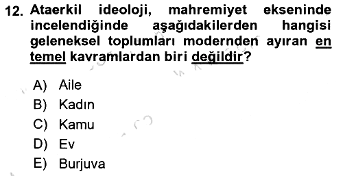 Sosyal Medya Sosyolojisi 2024-2025 Ara Sınav - 12. soru