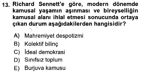 Sosyal Medya Sosyolojisi 2025-2026 Ara Sınav - 13. soru