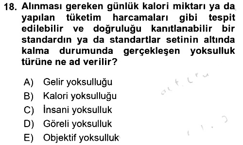 Sosyal Politika 2016-2017 Ara Sınav - 18. soru