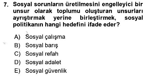 Sosyal Politika 2021-2022 Ara Sınav - 7. soru