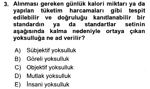 Sosyal Politika 2017-2018 Dönem Sonu Sınavı - 3. soru